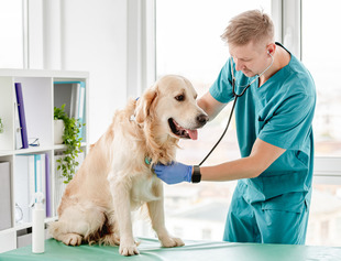 veterinary-medicine-page-2.jpg