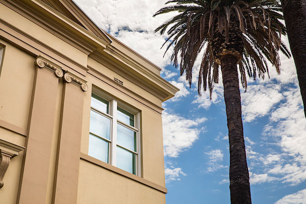 Building and palm tree with blue sky background