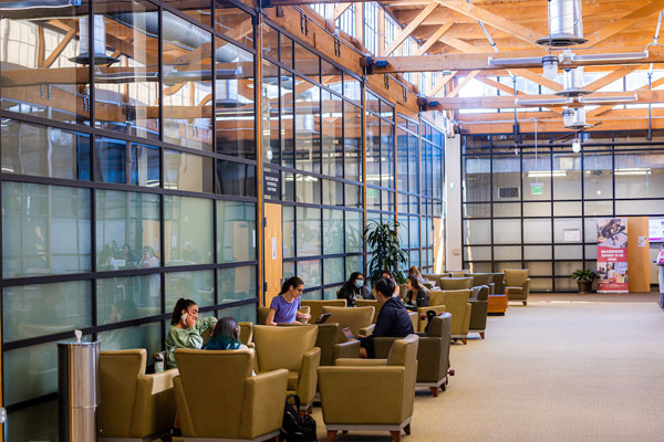 Students study in lounge area on campus