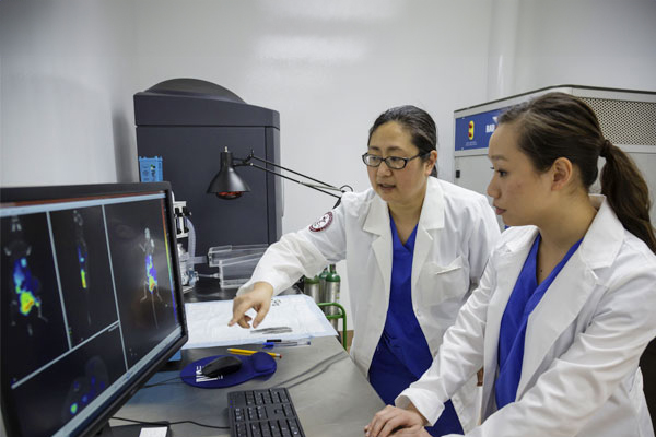 Students work in lab