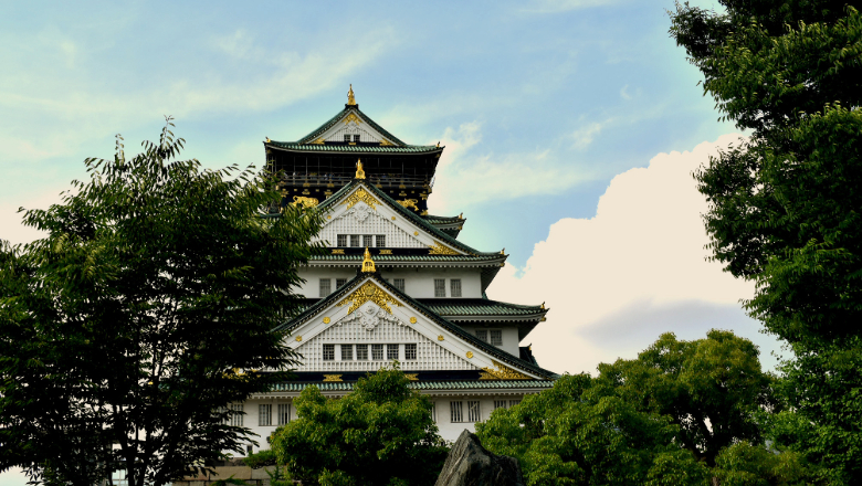 Building among trees