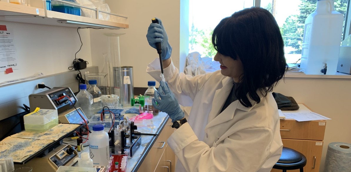 A student working in a lab