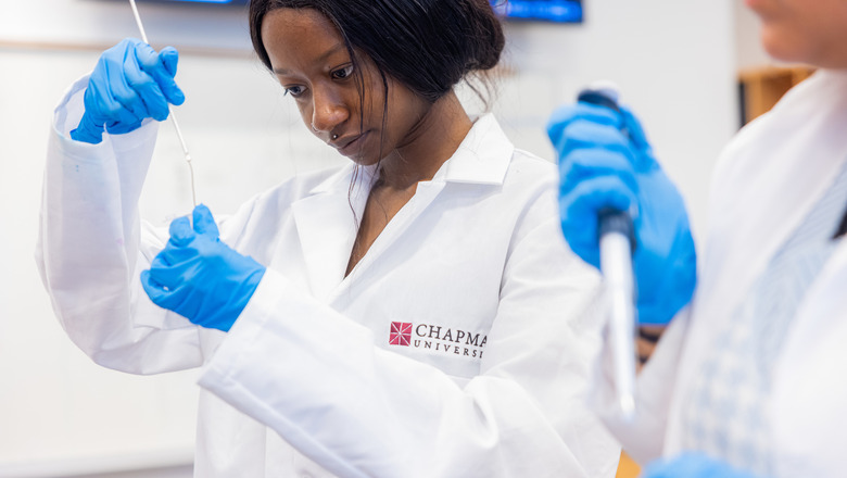 Students studying at Chapman University