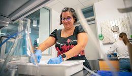 A student working in a lab