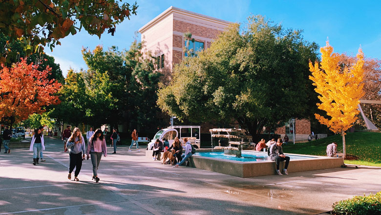 Chapman campus