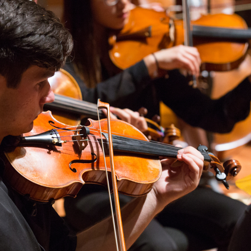 student violinist performing