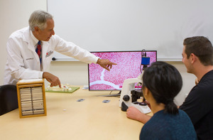 A professors points to a screen displaying a data visualization while two students look on.