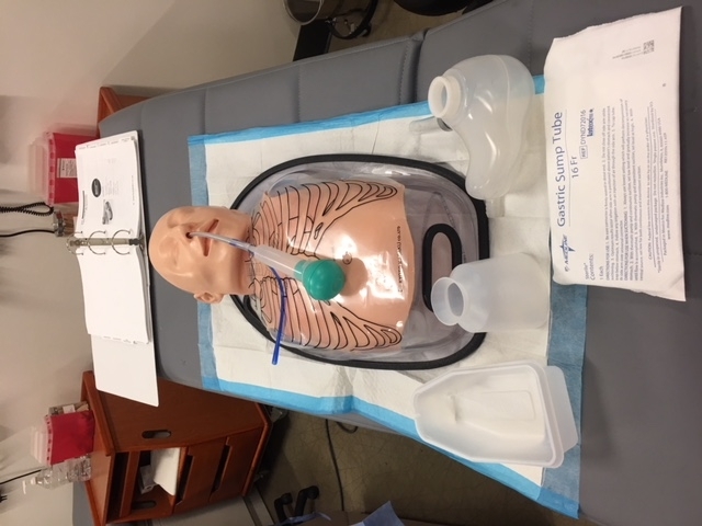 Nasogastric Tube placement Simulator