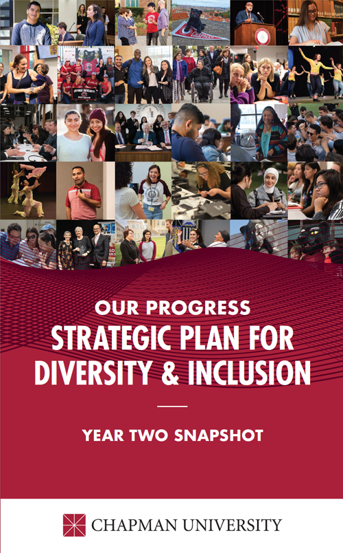 Cover page of year two diversity snapshot