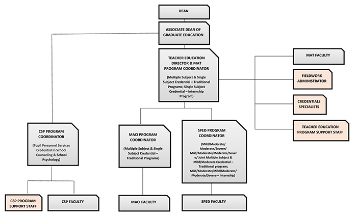 Attallah College organizational chart