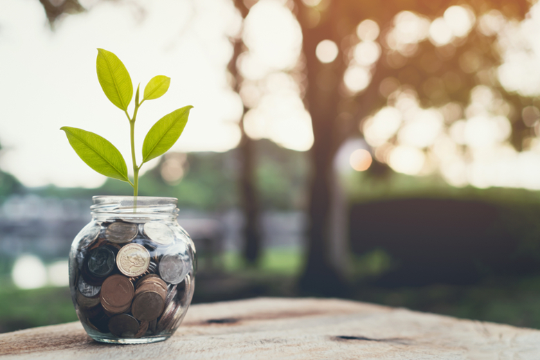 Coins in a glass jar with a plant 