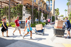 Students movin in, walking across campus with trolleys of boxes.