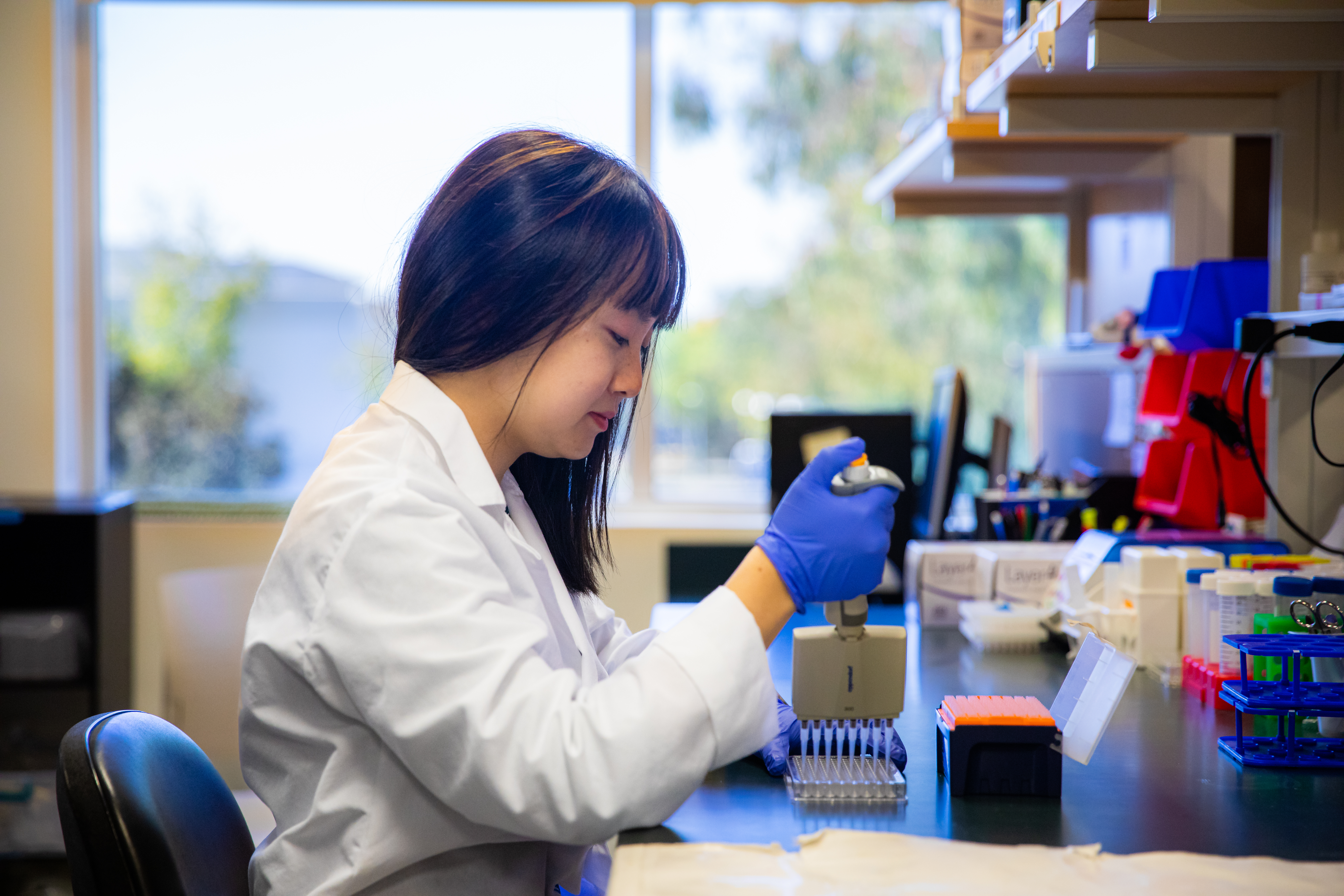 APEx student working in lab