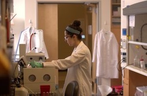 A student works in a lab.