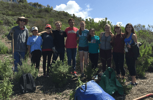 Students work towards restoring a local habitat.