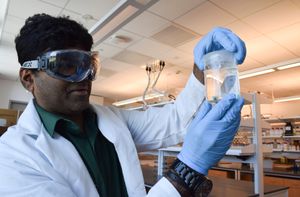 A student wearing goggles, gloves and a lab coat examines a beaker.