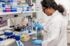 A student works in a laboratory setting.