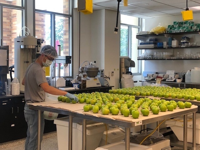 student with a lot of green apples