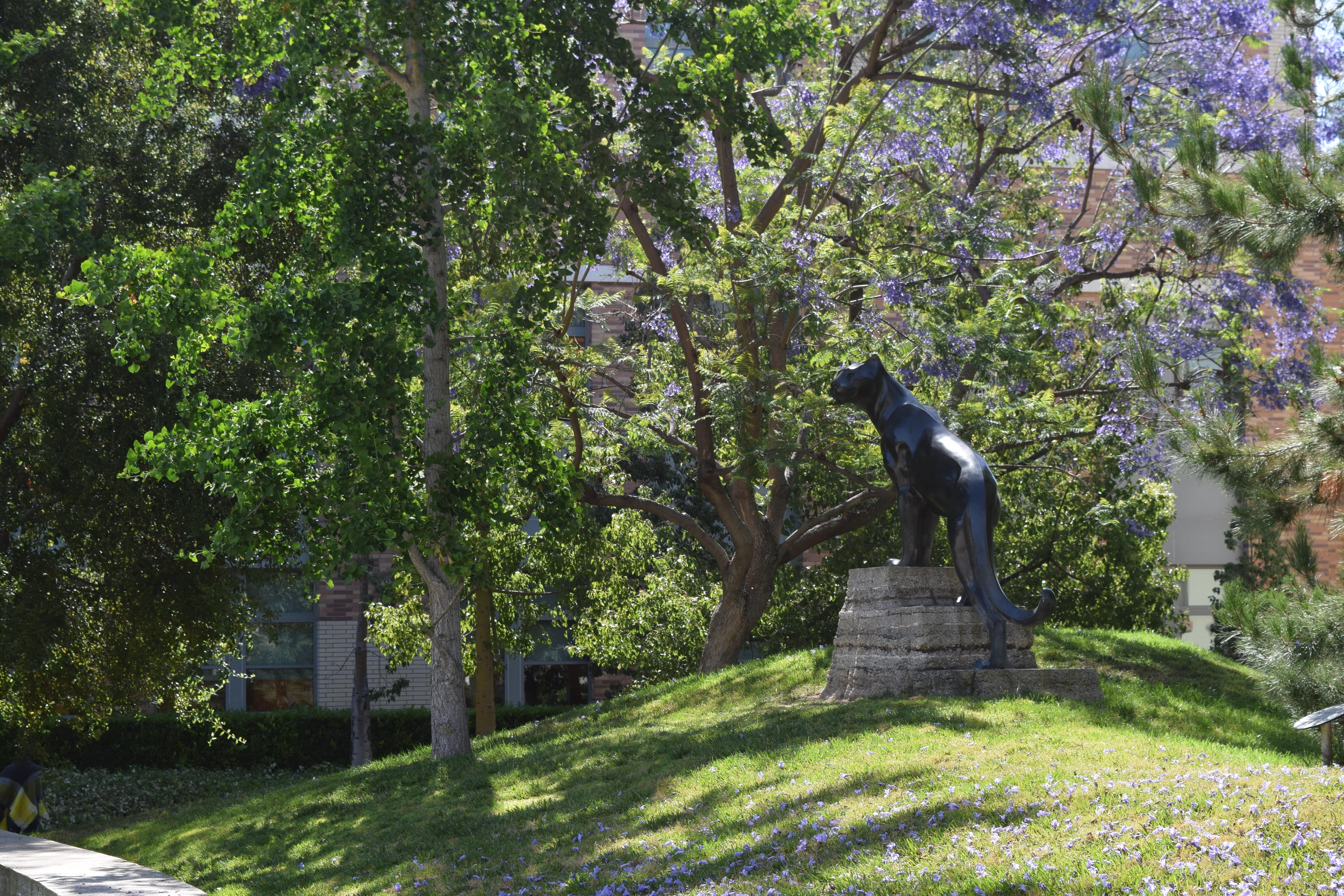 Panther statue at a distance in piazza