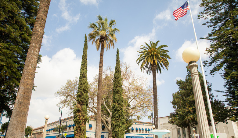 American flag flying over palm trees