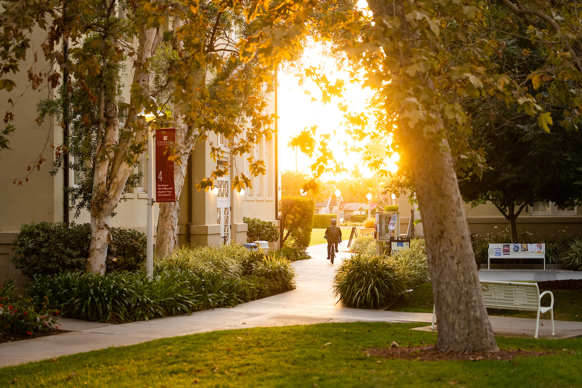 Chapman Walkway